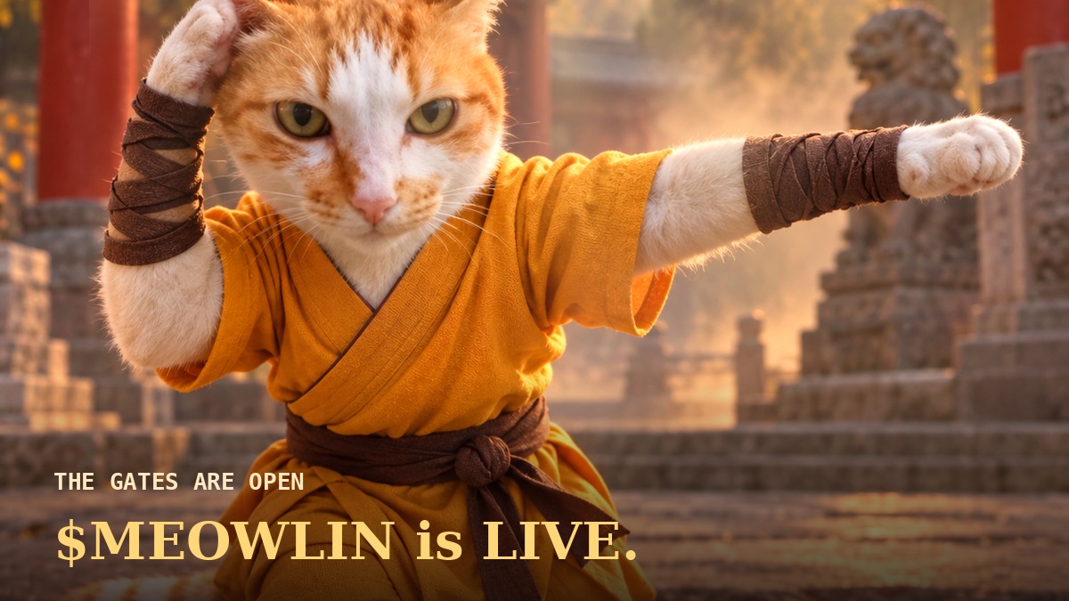 ShaolinMeowSOL's tweet photo. welp, it's live
been sitting on this one for a bit, kinda can't believe it's actually happening now
$MEOWLIN just launched. no promises, no roadmap essays, just a cat who kicks ass and a chain to do it on
LFGGGGG

CA:
DjUwjdo4eujo8wq9hjdiz8o54hxgGaQ6U61JHixqpump https://t.co/MkhUAuKyFU
