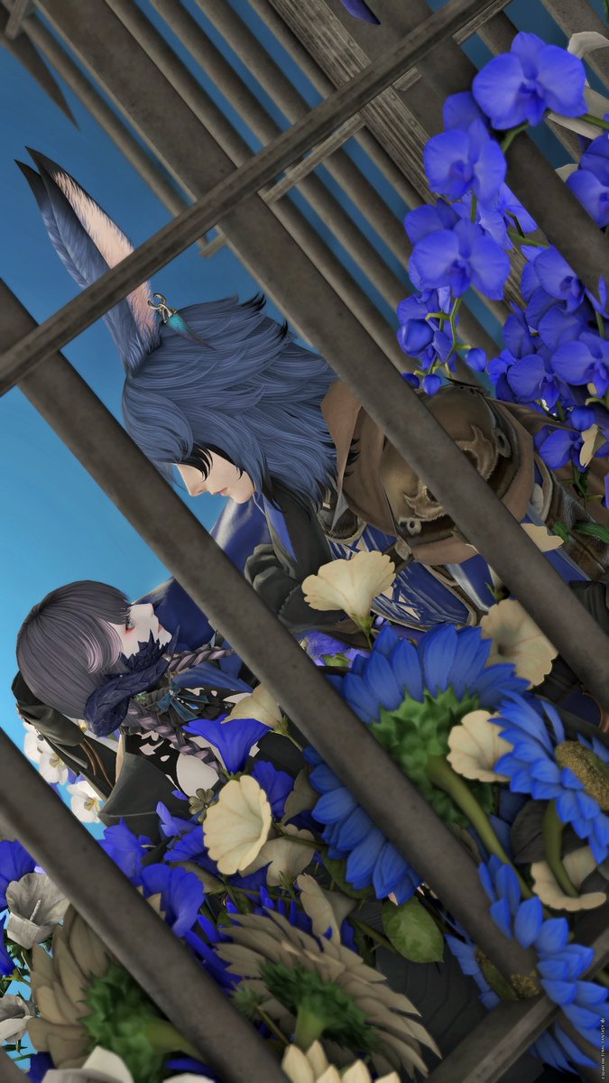 sha_ro_ron's tweet photo. #st_cosmonaut #FF14SS 
うさおに戻ってすぐの頃にリィンさんとSS撮りに行っててね…。
やっぱりうさおとメスラもいいよな！！てなっておりました。美✨ https://t.co/mGJHvtY2gV