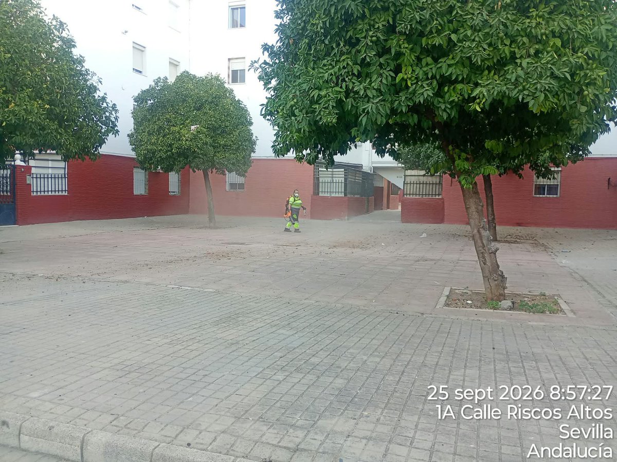 Dto_Sur's tweet photo. 🧹 Continúan los trabajos de Lipasam en el Distrito Sur con barrido mecánico y retirada de hojas y residuos.
💚 Trabajamos por unos barrios más limpios. Mantenerlos así es tarea de todos.
#DistritoSur #SevillaEstáEnMarcha https://t.co/zEHrkHCC3l