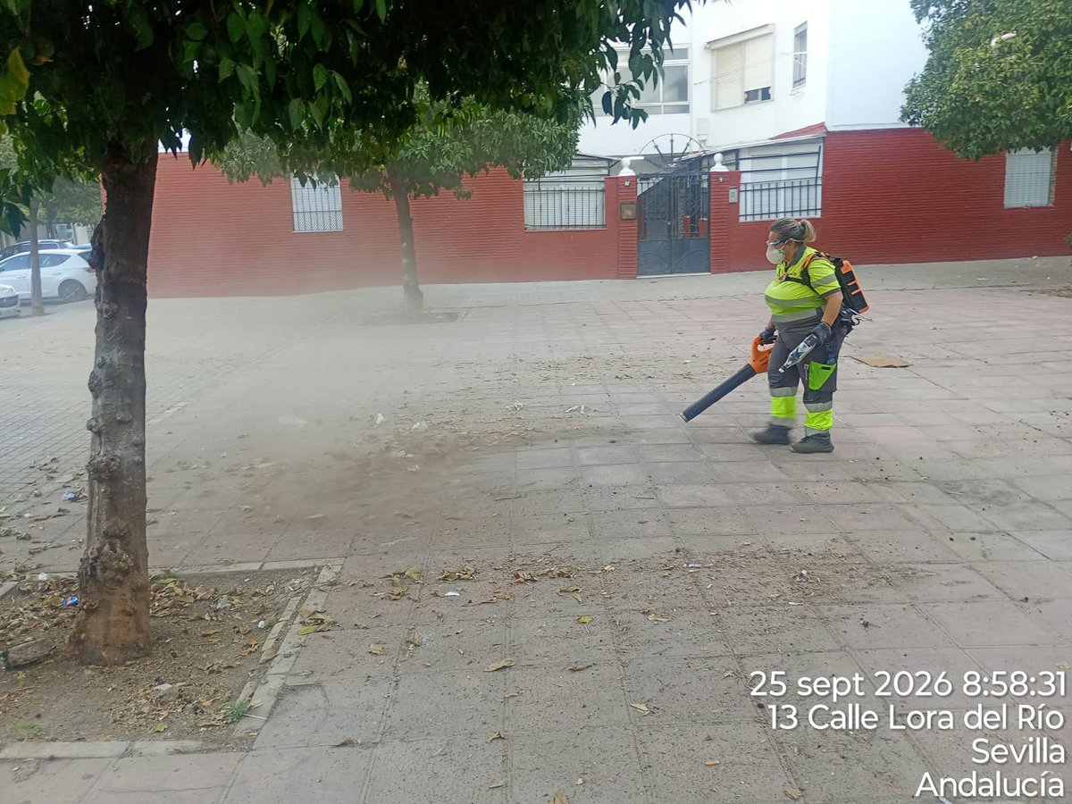 Dto_Sur's tweet photo. 🧹 Continúan los trabajos de Lipasam en el Distrito Sur con barrido mecánico y retirada de hojas y residuos.
💚 Trabajamos por unos barrios más limpios. Mantenerlos así es tarea de todos.
#DistritoSur #SevillaEstáEnMarcha https://t.co/zEHrkHCC3l