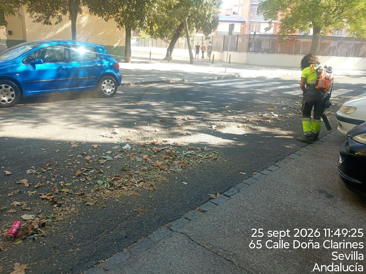 Dto_Sur's tweet photo. 🧹 Continúan los trabajos de Lipasam en el Distrito Sur con barrido mecánico y retirada de hojas y residuos.
💚 Trabajamos por unos barrios más limpios. Mantenerlos así es tarea de todos.
#DistritoSur #SevillaEstáEnMarcha https://t.co/zEHrkHCC3l