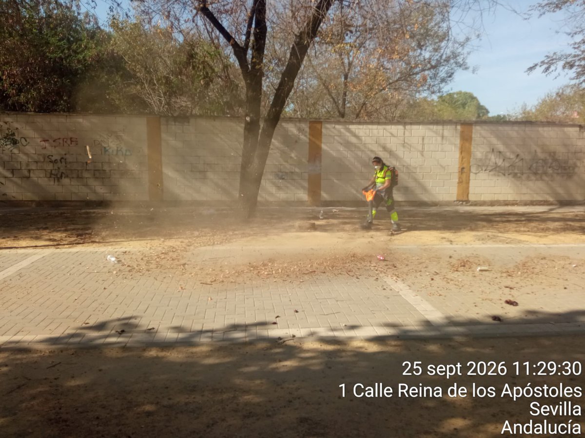 Dto_Sur's tweet photo. 🧹 Continúan los trabajos de Lipasam en el Distrito Sur con barrido mecánico y retirada de hojas y residuos.
💚 Trabajamos por unos barrios más limpios. Mantenerlos así es tarea de todos.
#DistritoSur #SevillaEstáEnMarcha https://t.co/zEHrkHCC3l