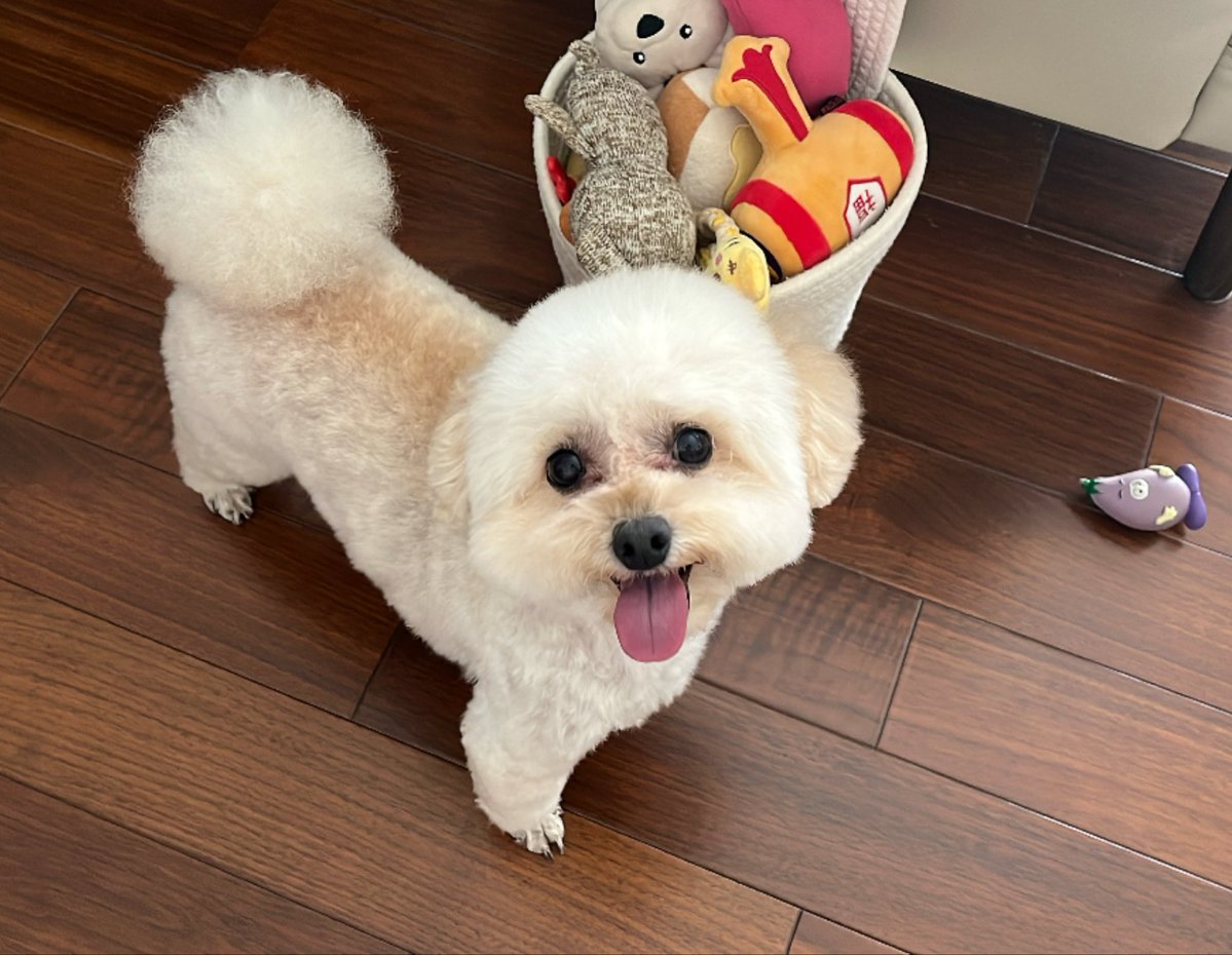 kaodekayun's tweet photo. 今日は
#十五夜 🎑
でも満月は2日後くらいのようなので今晩はこちらのまん丸お付き様をご覧ください😌 https://t.co/7ELUZs4PBw