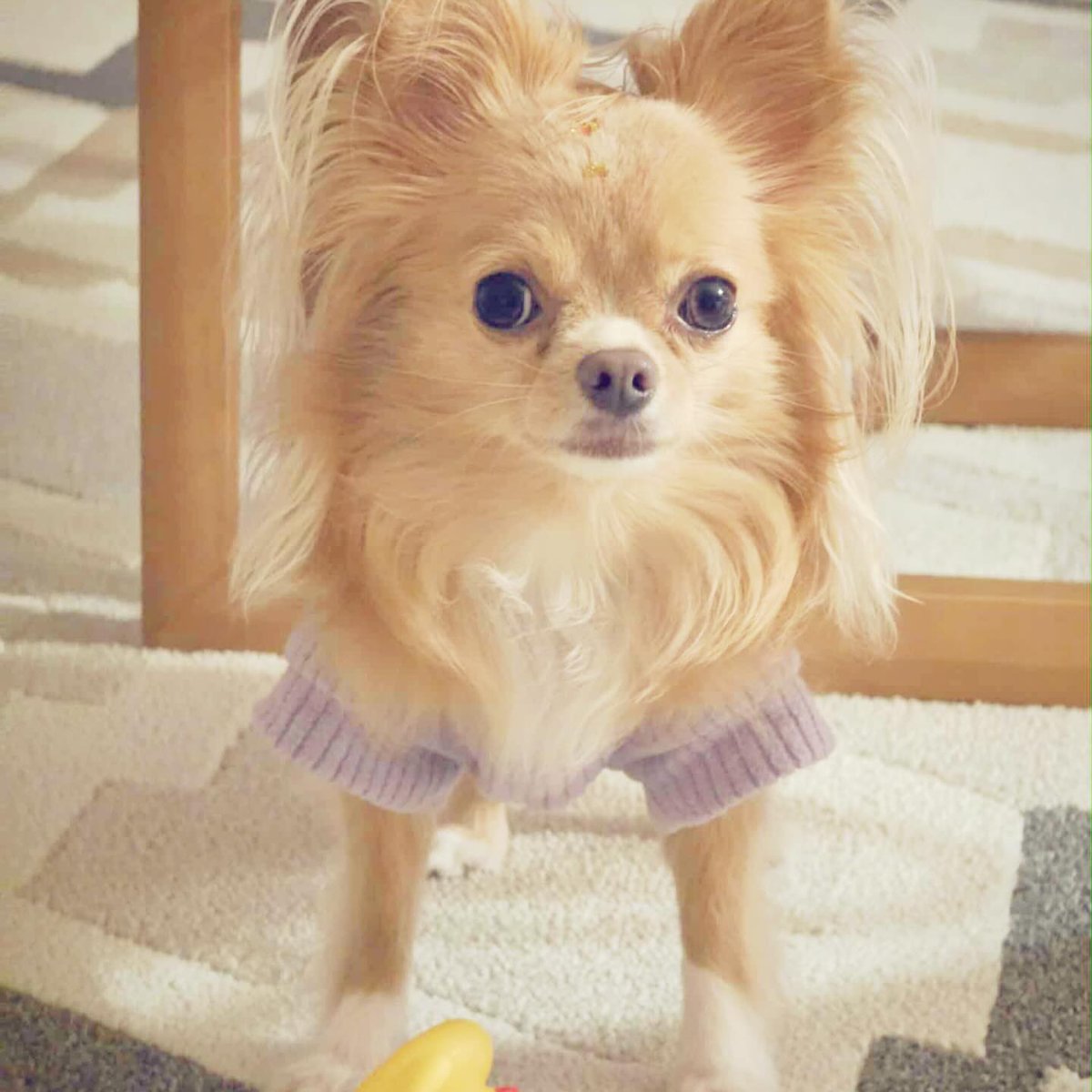 RoccoMaroudas's tweet photo. View all 16 comments https://t.co/GJUEsbWSm9