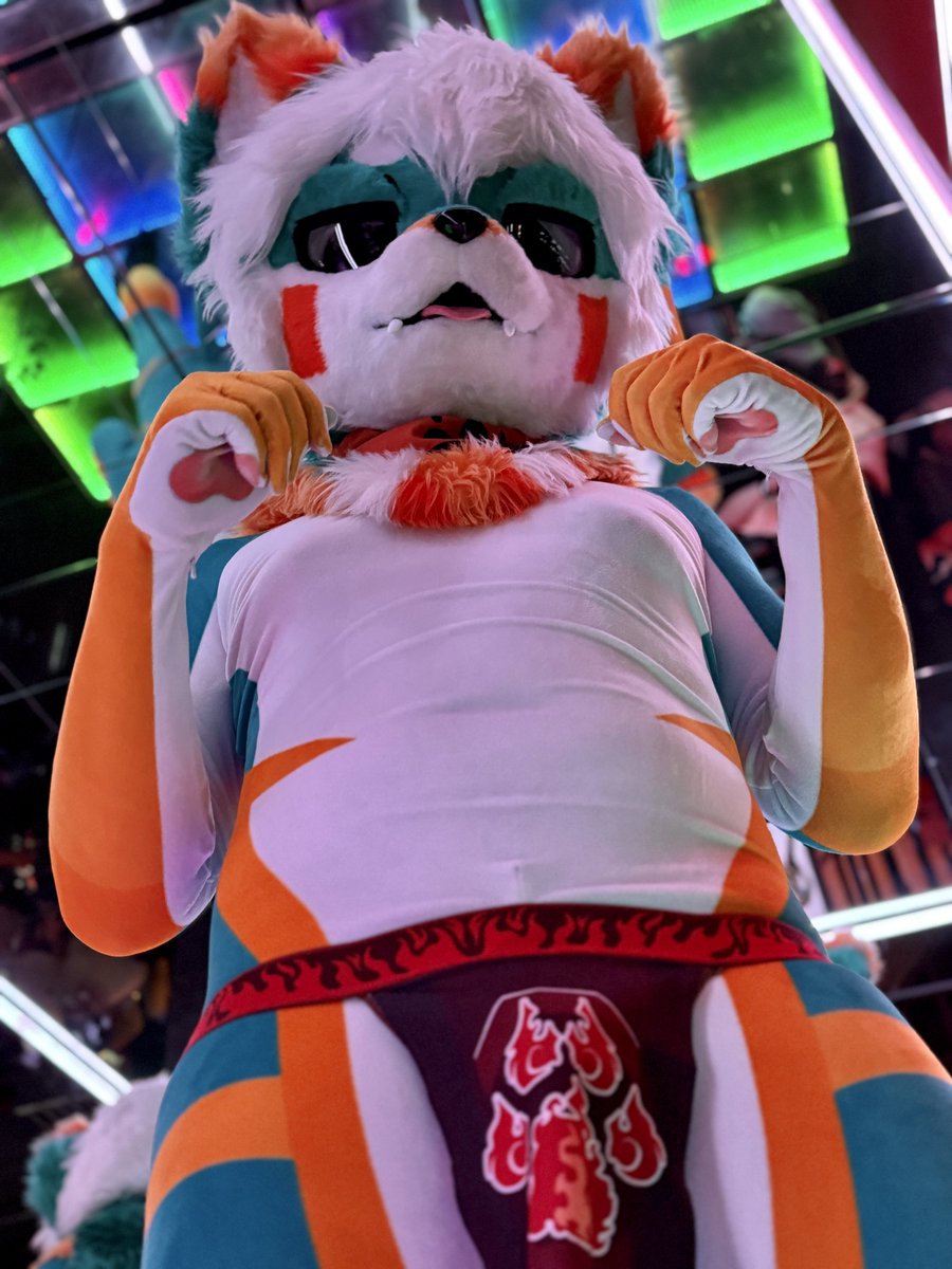 BothFelixfox's tweet photo. Shirt or Shirtless?
๐ธ: @ponz_zu
๐: @500cafebangkok
#FursuitFriday #fundoshi #felixfox https://t.co/tykeLH8DoO