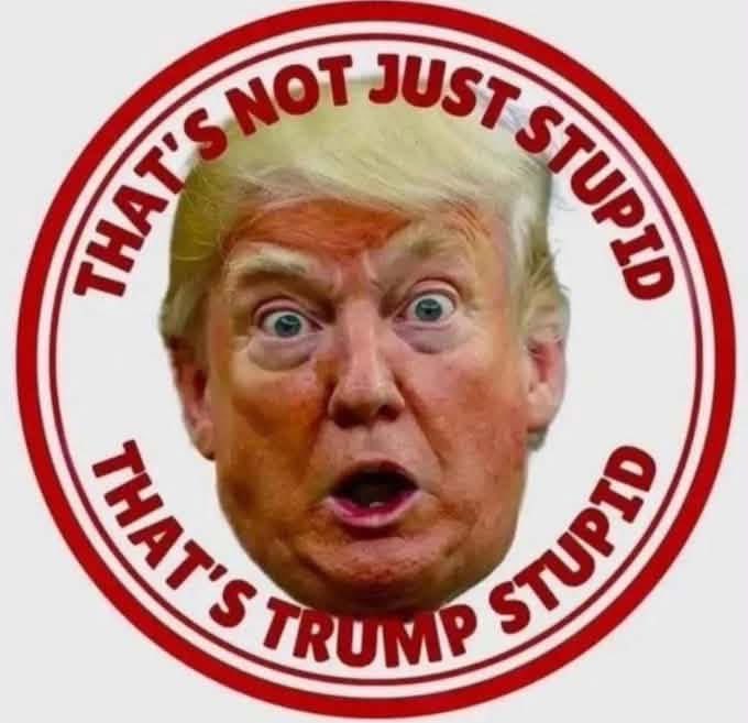 LittleRapp's tweet photo. @kenneth_dunphy @GuntherEagleman Go away #MAGAtMoron bot. Do your OWN research vice spewing MAGAt talking points. https://t.co/ygA3v1PzpS