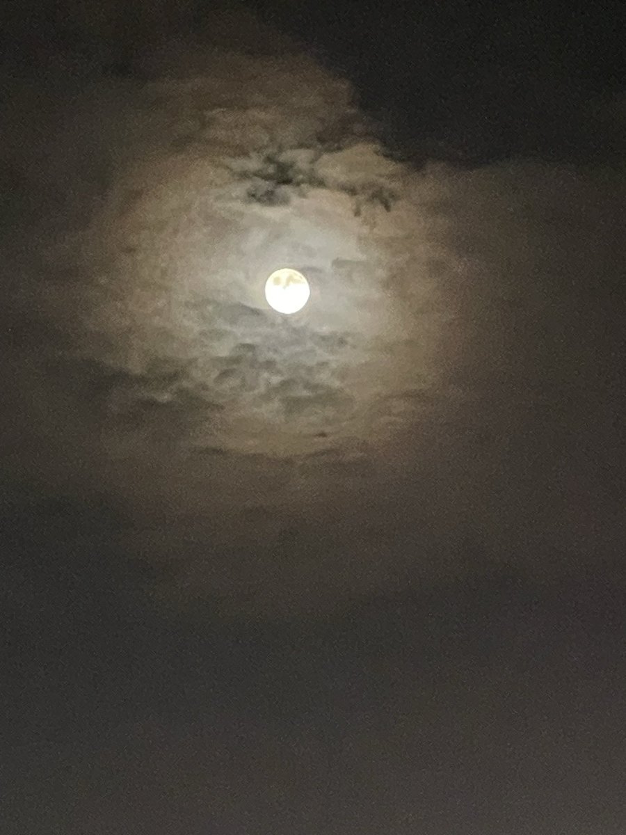 miso253sky's tweet photo. お月見🎑
雲から顔をだしたお月さん。
お月見泥棒さん（子供たち）
がたくさんお菓子をとりにきたみたい☺️
里芋型のお月見団子と、うさぎ饅頭。
ススキ🌾も飾りました。

＃お月見 https://t.co/9XeiuW0HQW