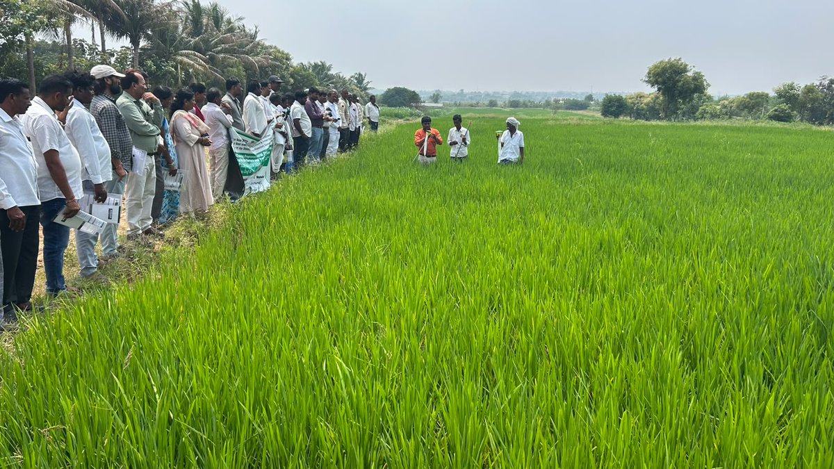 CIPMCHyd's tweet photo. The programme was organized with the objective of creating awareness and strengthening the technical knowledge of farmers, pesticide dealers and State Agriculture Department officials on scientific and eco-friendly approaches to pest management in major Kharif crops. https://t.co/tSMfkjM8Qs