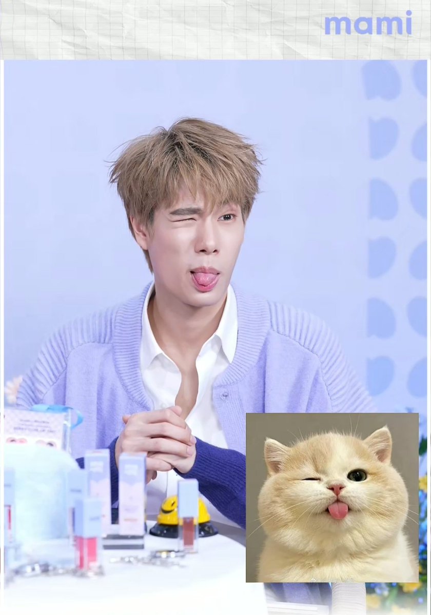 doublepjourney_'s tweet photo. เหมียวพุพุ แยกไม่ออกเลยครับเหมือนกันยังกับเหมียว 🤭😽

PHUWIN WITH MAMI LIVE

#MamixPhuwinLIVE
#phuwintang @phuwintang https://t.co/ZegtmHEErv