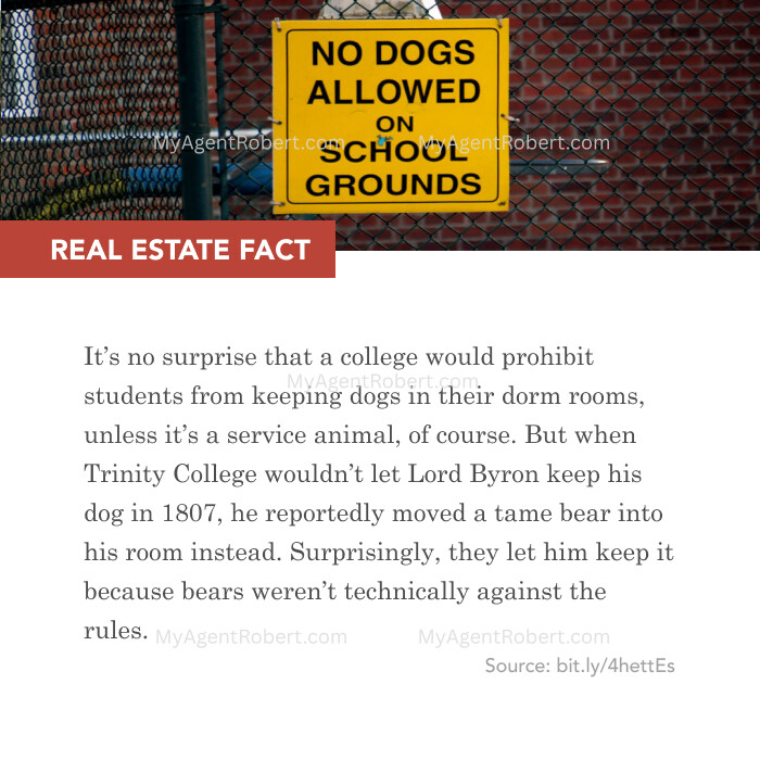 myagentrobert's tweet photo. Navigating pet policies like Lord Byron with his bear! 🐶🐻 Thinking outside the box? I’ll help you find a home that fits your whole crew! 🏡💡 #HomeBuyers #PetsWelcome #RealEstateAgent #HouseGoals https://t.co/tYgBFVwAXV