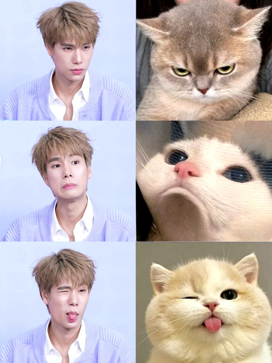 bloomingsummers's tweet photo. ofc the live wont be complete without phuwinmeow meme🤭

PHUWIN WITH MAMI LIVE
#MamixPhuwinLIVE #phuwintang https://t.co/jtZ9amShlq