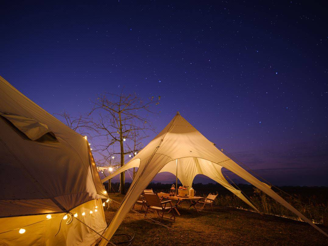 MylesYonkenq's tweet photo. Acampar bajo un cielo estrellado, escuchar el viento entre los árboles y probar s'mores calientes. Momentos simples que llenan el alma https://t.co/yY0DcFe3Fk