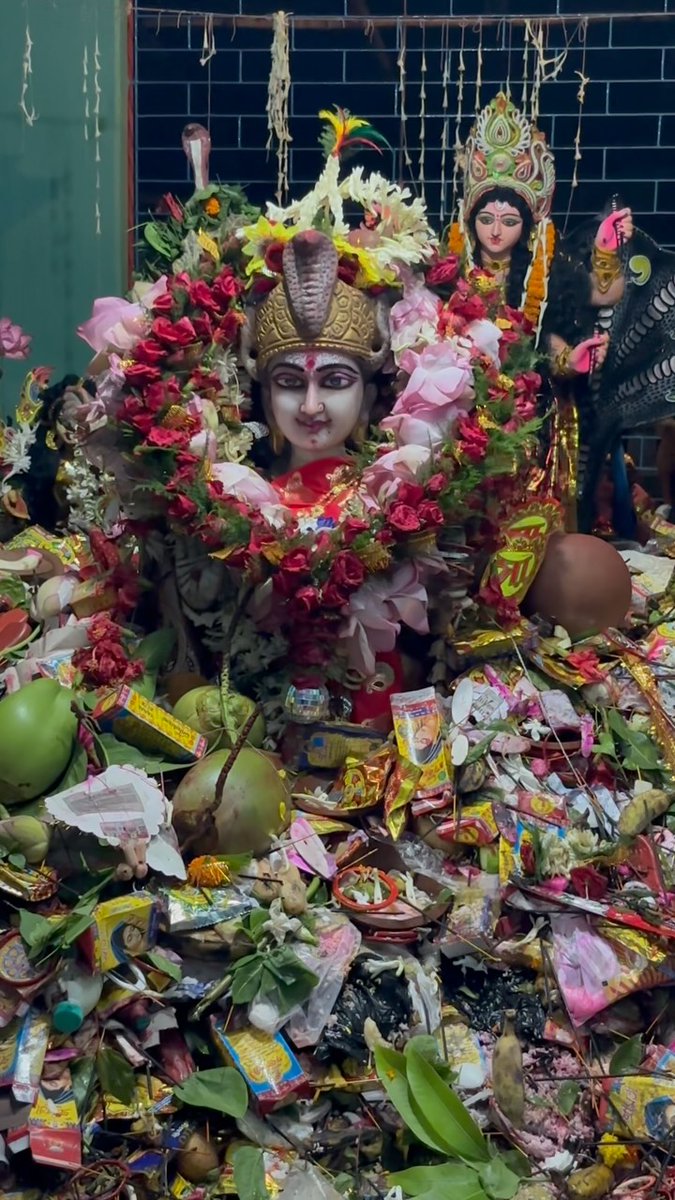 SebastianSdnhr's tweet photo. প্রায় ৫০০ বছরের ঐতিহ্য, বলাগড়ের ইঞ্চুরার দেবীপুর গ্রামের মা বিষহরি। শ্রাবণের নাগপঞ্চমীতে অনুষ্ঠিত এই পুজোয় প্রতিবছর ৫–৬ হাজার পাঁঠা বলি হয়। পুজোকে ঘিরে এক মাসব্যাপী ঐতিহ্যবাহী মেলাও বসে। https://t.co/JCkihZjaqu