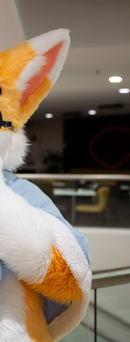 YapsFox's tweet photo. “Be Soft~ 🐾
Be Happy 💛
Be Bright ☀️
Be You~!” 🌟

Happy #FursuitFriday~!  

📸: @ShujjaWuff 
🪡: @kukuGummyShark 

#fursuit #foxyFriday #toony https://t.co/KotfVlKiFf