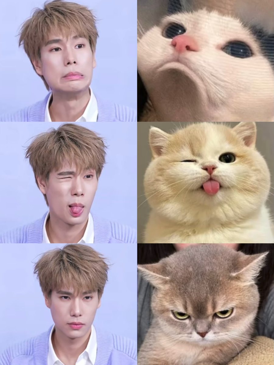 itsharuxhs's tweet photo. เหมินกันเลยนิ! 😾😽😼 https://t.co/C6J3scu5dj