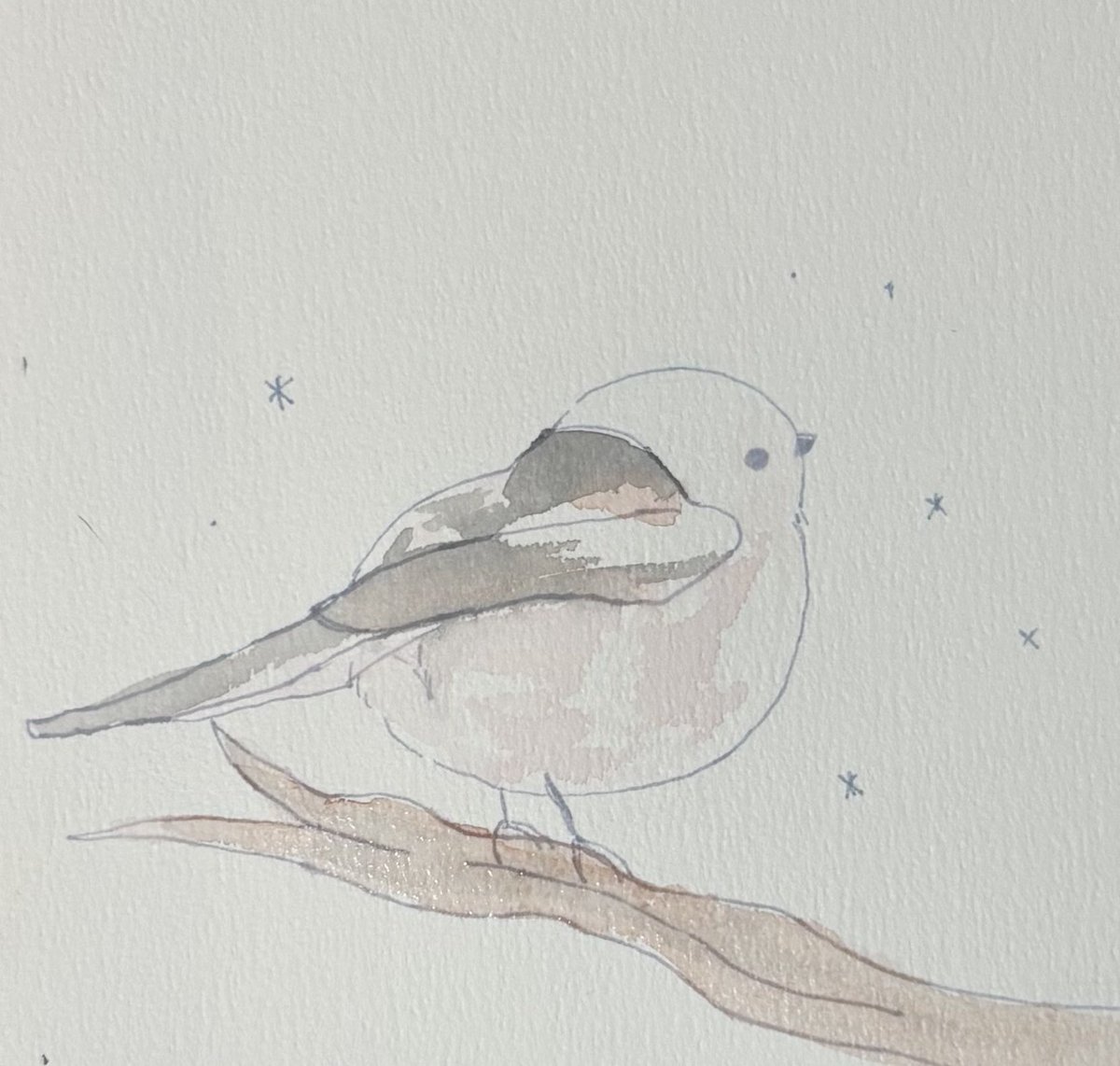 156797971abc's tweet photo. 鳥のおちり描きたくなったので描いた
主線にjuiceのアッシュカラーのやつ使ってみたんだけどいい色〜
#アナログ絵
#透明水彩 https://t.co/vgOltuWXqq