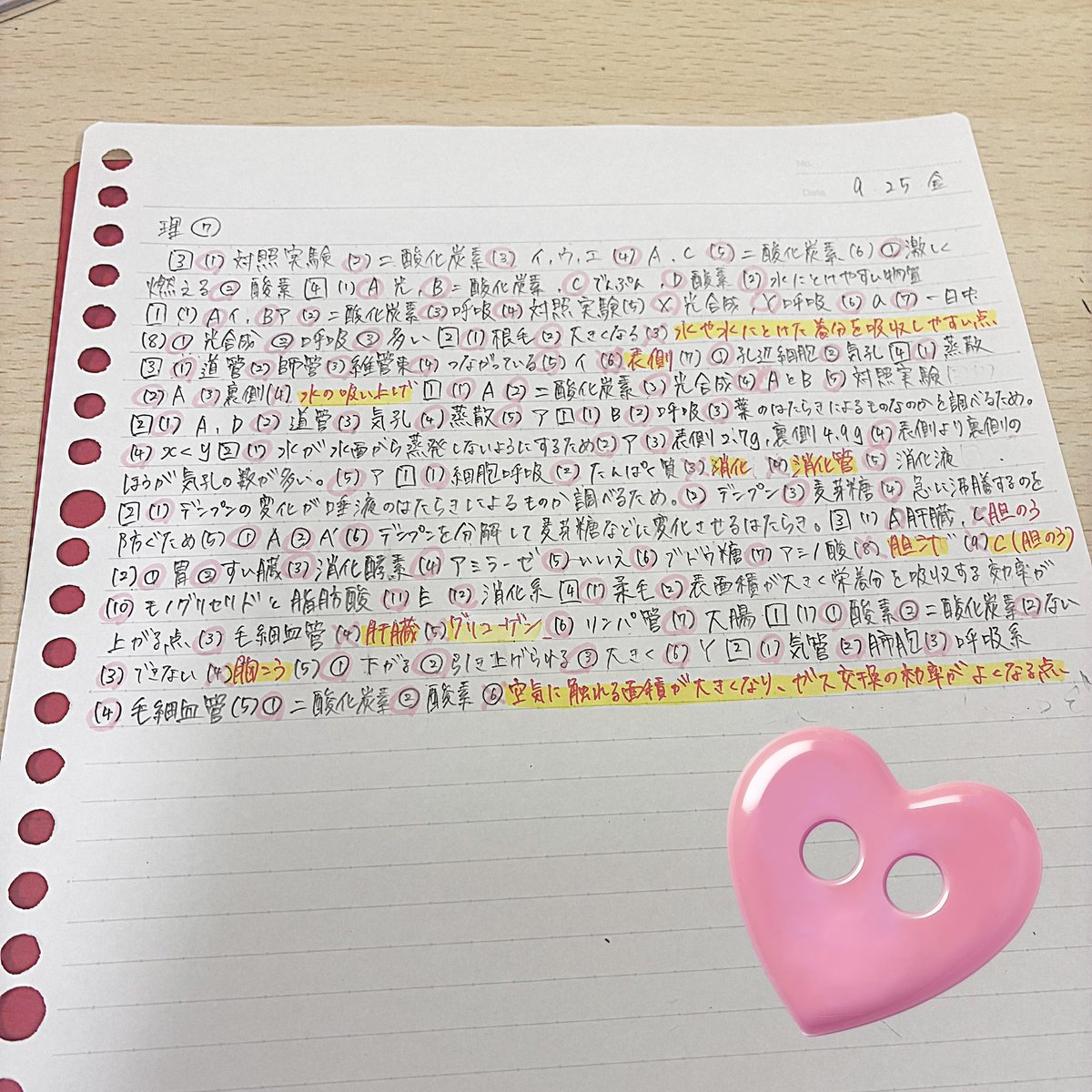 usukawapannn's tweet photo. あっ！あの人もしかして「勉強垢に憧れてノートギチギチにしようとしたけど思ってたよりキツくて諦めた人」じゃない⁉️
ほんとだ、『勉強垢に憧れてノートギチギチにしようとしたけど思ってたよりキツくて諦めた人』だ‼️ https://t.co/XajqBtpjv4