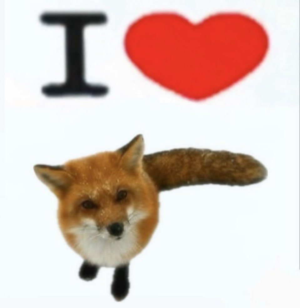 ZyaFox's tweet photo. https://t.co/dvjge4bwTL