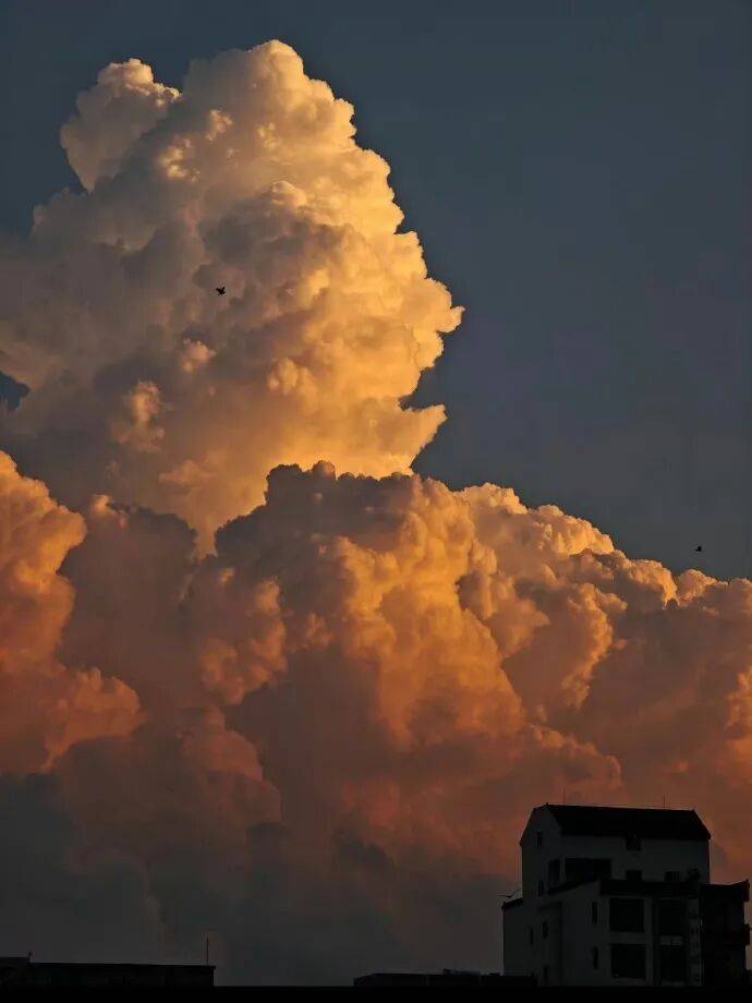 AntonBellaac's tweet photo. Atardecer dorado sobre la calle con luces de neón titilando, momentos perfectos capturados al vuelo.， https://t.co/AXqKrIIxnN