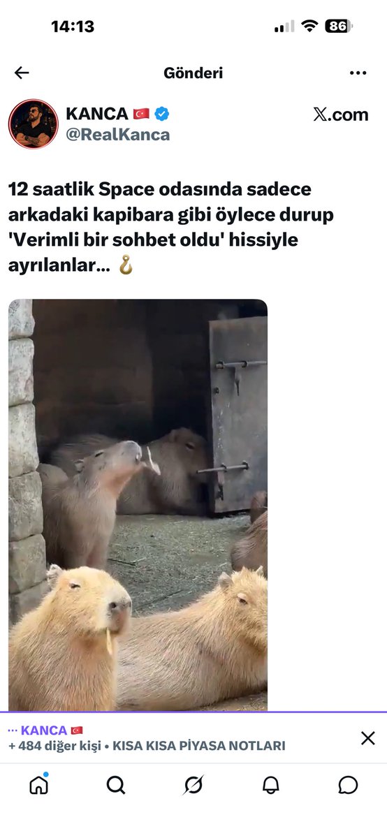 yyyavasss's tweet photo. @kitapgamzesi Bu seferde bu odadamısın kancık pardon kanca herbokaloğ cam filmci https://t.co/5sdRhBDyL3