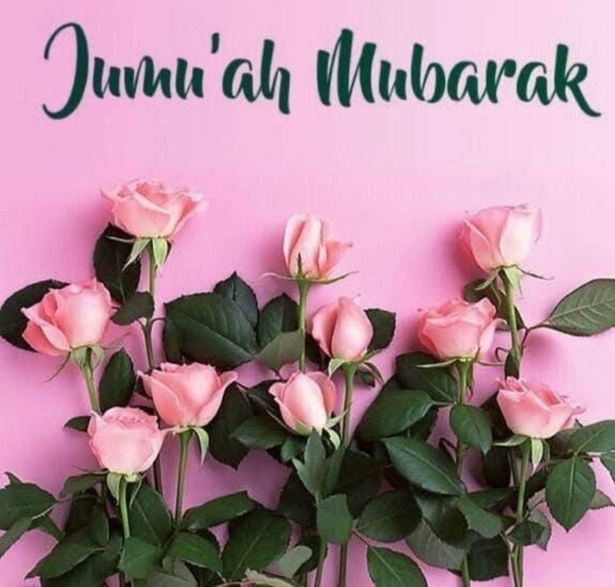 muslimqueeeen's tweet photo. It's the holy day of Friday. Serve your Muslim Queen on this day 💅🏾

I expect jizyah/tribute to be sent. Also doing sessions so add me on telegram or Snapchat. Tele: https://t.co/y7bwt600yP or Snapchat: dommesomali 

Findom femdom finsub raceplay mnwo bnwo sissy paypig findomnl https://t.co/xZ1FAyztZc