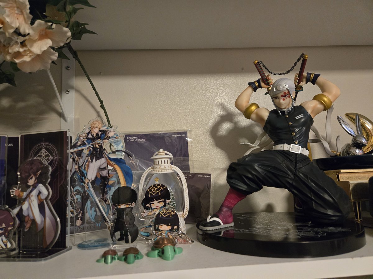 RazingPhoenix's tweet photo. He's bigger than anything on this fucking shelf https://t.co/MH5fwjFqJi