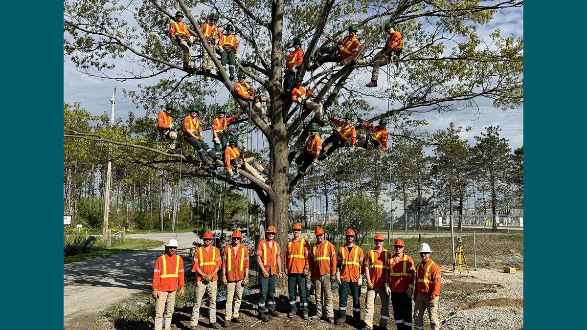 HydroOne's tweet photo. Not long ago, many of the people in this photo had never climbed a tree. Now look at them. 🌳
 
This Forest Week, we're celebrating our forestry apprentices who began a rewarding journey to become Utility Arborists.
 
Taken earlier this year in Barrie, the photo captures forestry apprentices and trainers coming together after weeks of learning, growth and teamwork. Today, they're developing the skills needed to safely manage vegetation around powerlines and help keep customers across Ontario connected.