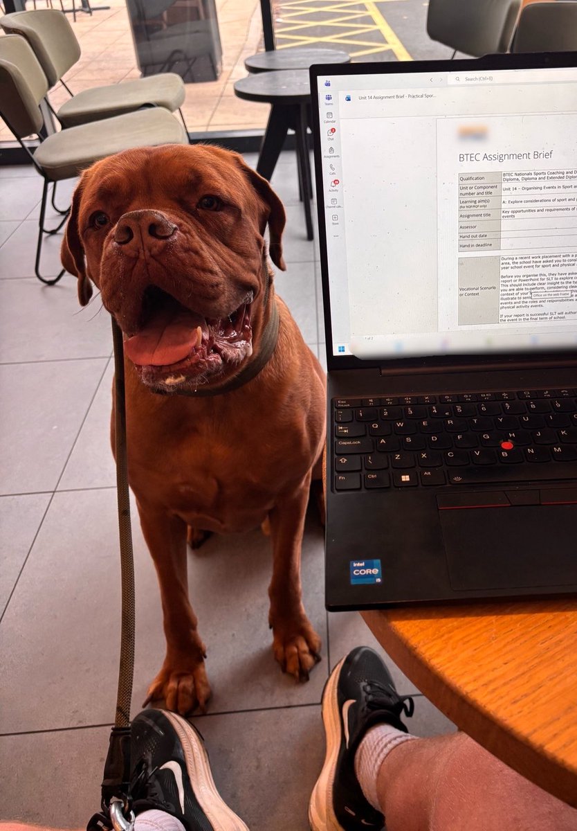 cieronkeane's tweet photo. Work support dog 📚😂 https://t.co/jHfOETn5Rs