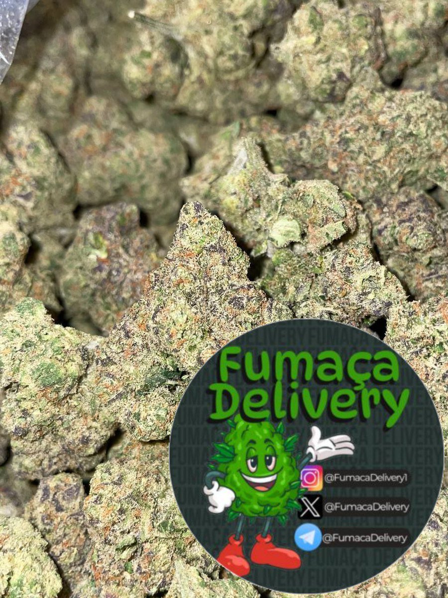 FumacaDelivery2's tweet photo. ⛄ Cherry Gelato ⛄ 
🙉 - Brisa leve, vai te deixar confortável e sossegado, um sabor delicioso.
🍁 - Índica

✅ Link: https://t.co/JWhFaYzASl
📞 Whats: +55 16 98255-1470
📞 Whats: https://t.co/0HzNdB9bOa…
🛵 Delivery: SP RJ BA PE e MG
📥 Sedex ou Jadlog

Desde 2022 🍁🔥

maconha | plug | dealer | entrega | contato | corre | comprar