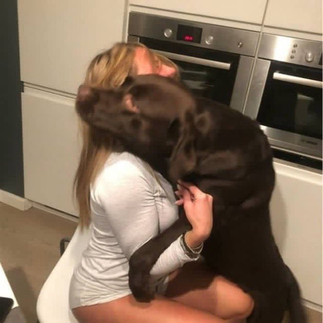 Pacateaq's tweet photo. Stay updated📽️ 😩🥵
Serious buyers only 
Telegram https://t.co/FyyYnKdrVS...
#Beastiality #Zoophilia
#Doggirl
#Animalporn
#Animalsex
#Zootube #Teens #ZooRp #Zoosex
#ZoopornPREMIUM #furry #zoo https://t.co/eYazZaNrUa
