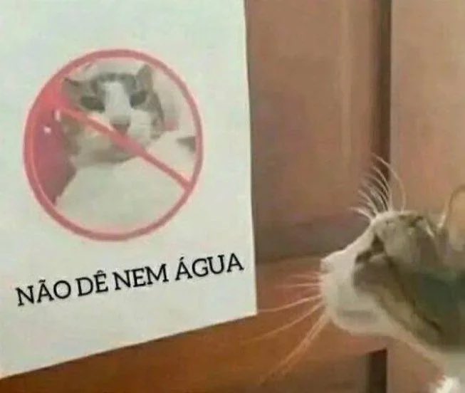luxcashenri's tweet photo. Fui visitar meu amido no serviço dele, e ele trabalha com um ex ficante meu, e descobri que meu nome é proibido lá…me senti assim entrando lá https://t.co/FeK94UkXX5