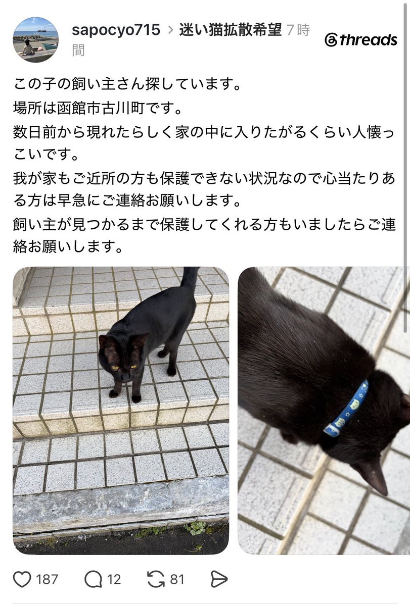 Apple20130506's tweet photo. https://t.co/4UhTiQ0sAS https://t.co/dDhLf7g2BX