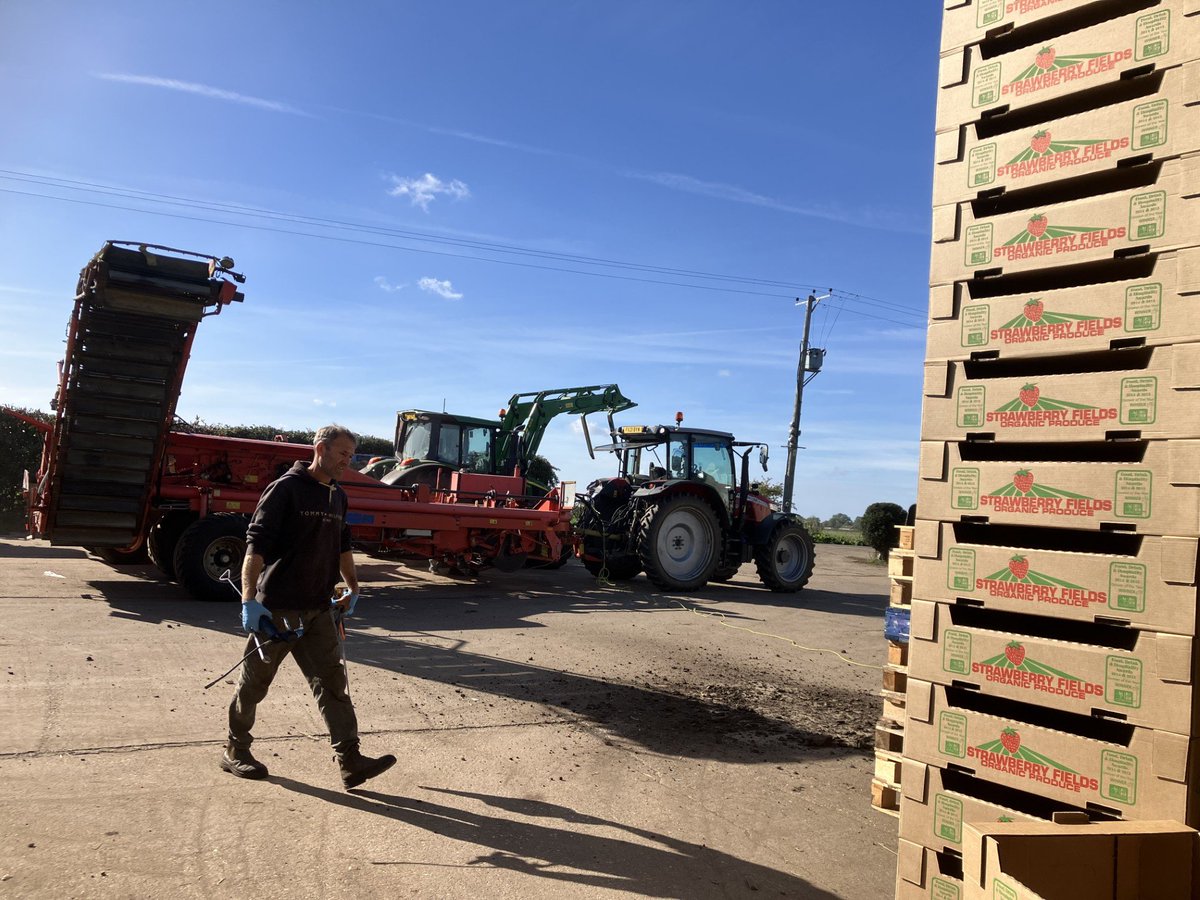 Organic_pam's tweet photo. Making a start on lifting #beetroot taking advantage of the dry conditions.  8 bins back in cold storage. Holding off for a bit of rain before getting any more overwintered rye/vetch in https://t.co/MM4KRnJaaO