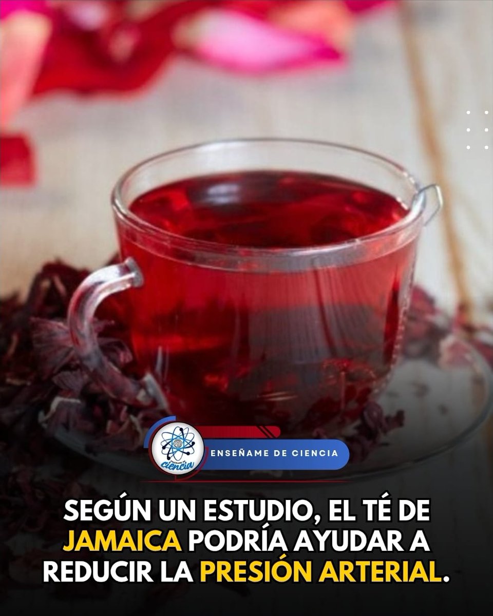 EnsedeCiencia's tweet photo. El Departamento de Agricultura de los Estados Unidos informa que se descubrió que el té de flor de Jamaica ayudó a disminuir la presión arterial.
✅️Esta infusión puede ayudar en la reducción de la hipertensión en etapas tempranas, pero no sustituye el tratamiento médico. https://t.co/22Be3hkr46