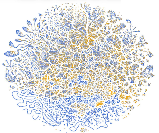 rickcsong's tweet photo. Who could have guessed that fraud detection data is kind of beautiful? Looks more like a topography map or mitochondria than a bunch of fraud clusters. https://t.co/bEmUUG7o5X