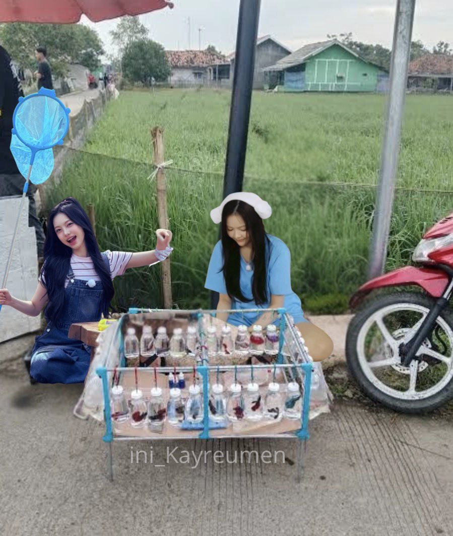 ini_Kayreumen's tweet photo. drpd liburan ngabisin waktu dengan rebahan, mending cari duit dengan jual ikan cupang🐟 https://t.co/Y8TRDCTnyT