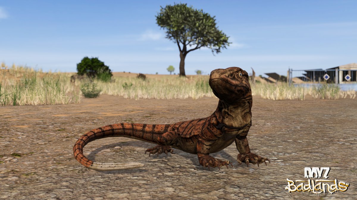 DayZ's tweet photo. Here’s a closer look at the animals you’ll see in DayZ Badlands 👀 https://t.co/5egX6oM4lr