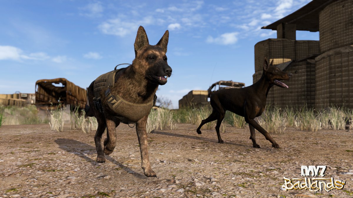 DayZ's tweet photo. Here’s a closer look at the animals you’ll see in DayZ Badlands 👀 https://t.co/5egX6oM4lr