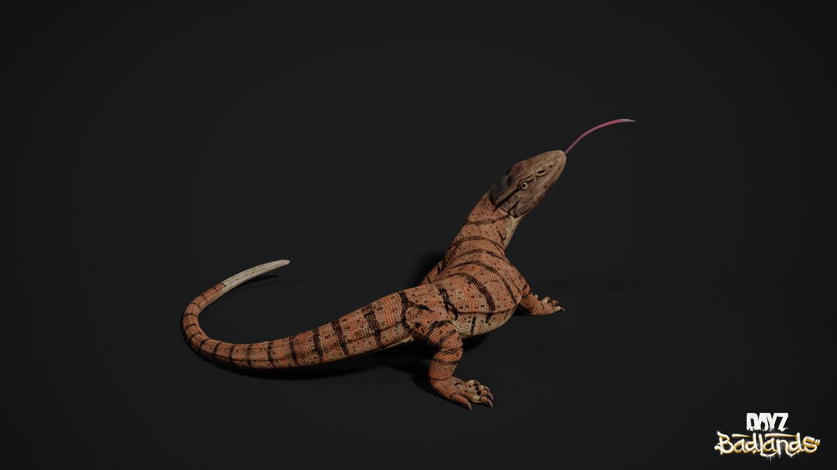 DayZ's tweet photo. Here’s a closer look at the animals you’ll see in DayZ Badlands 👀 https://t.co/5egX6oM4lr