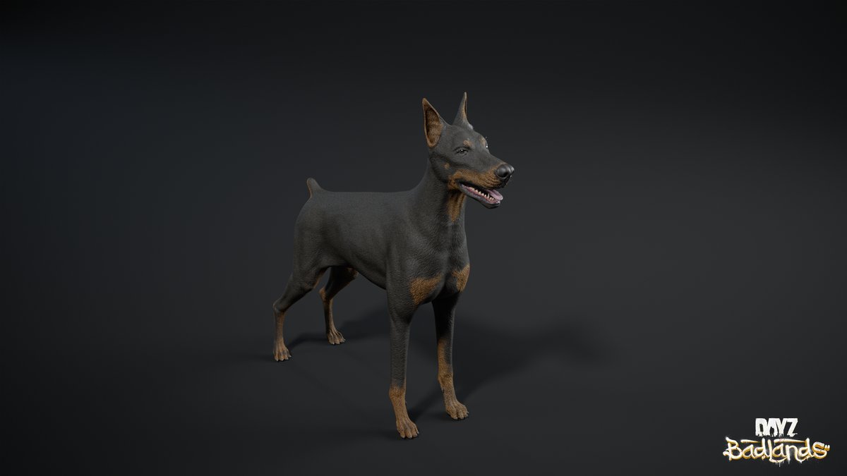 DayZ's tweet photo. Here’s a closer look at the animals you’ll see in DayZ Badlands 👀 https://t.co/5egX6oM4lr