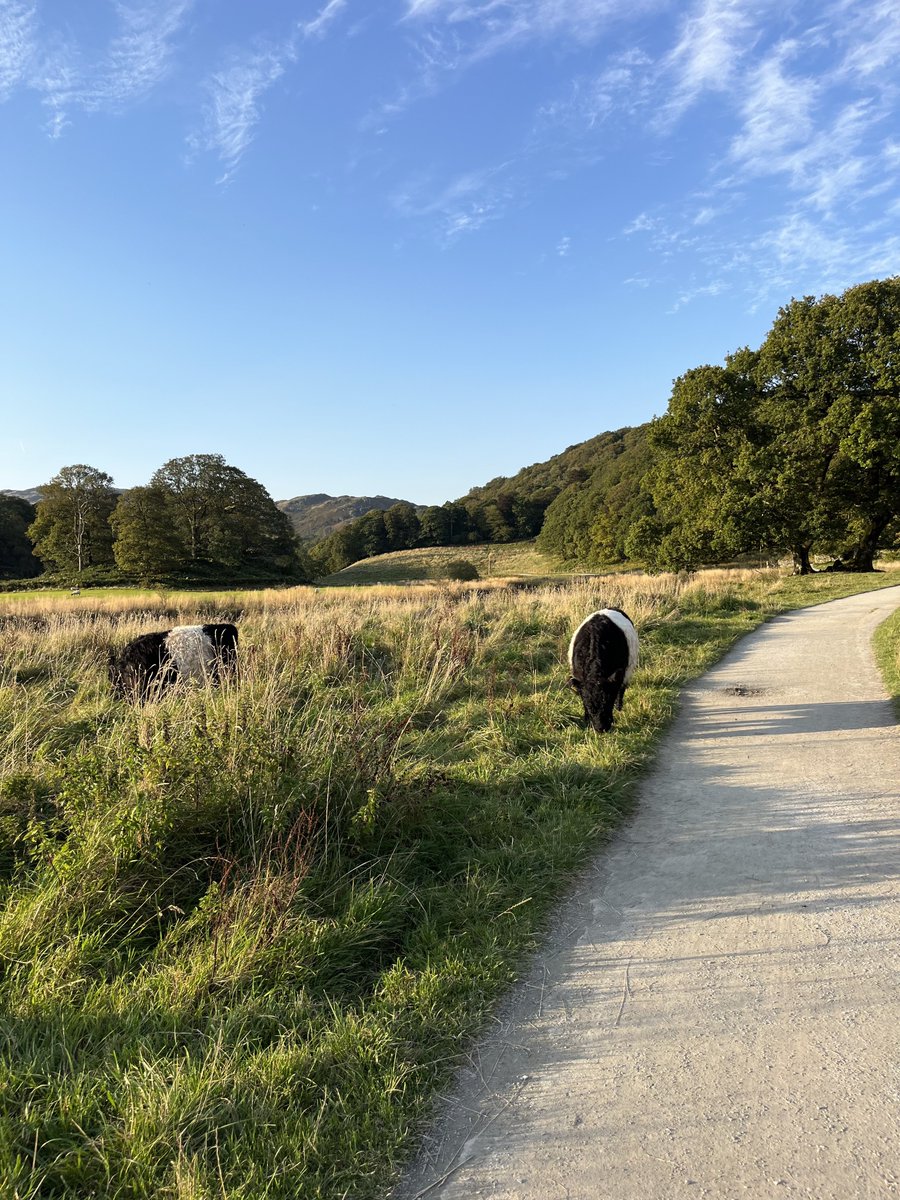 hikingshawty's tweet photo. i love this time of year it’s all so beautiful https://t.co/JciFGQLr3v