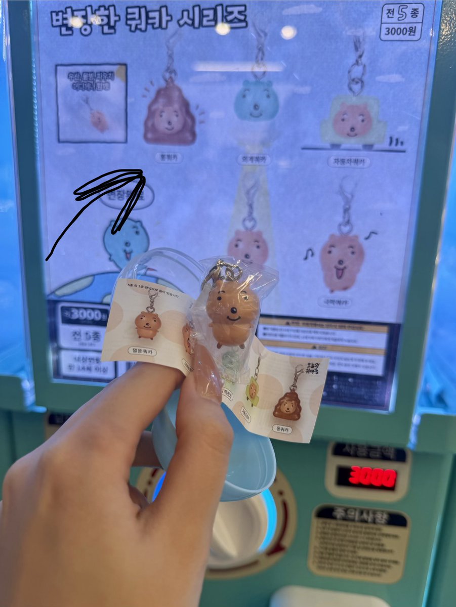 韓国のLINEストアにめじるしアクセサリーのガチャありえないくらいあったㅋㅋ🪽これ明洞の店舗🫶うんこハム狙ったけど出ず😭 https://t.co/k74MujNmyk