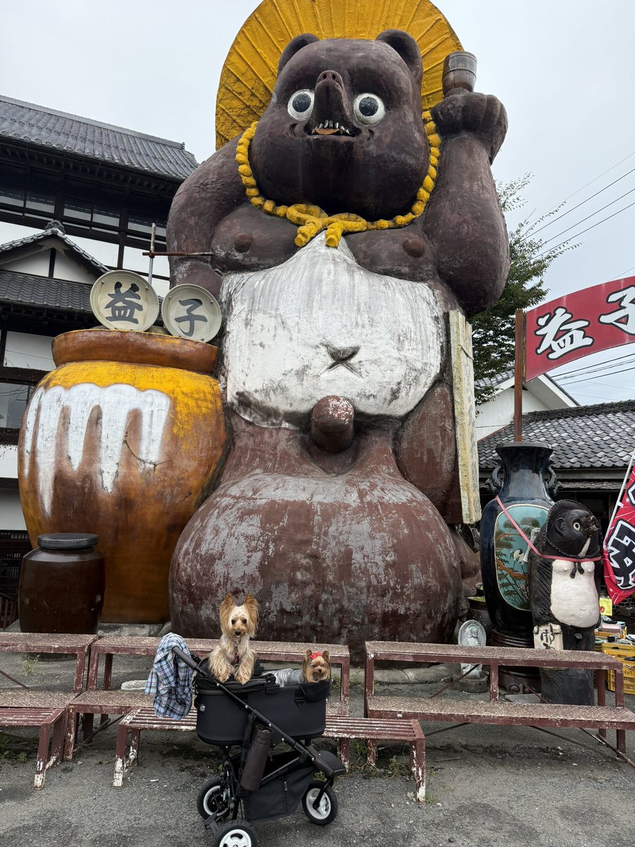 shake_hori's tweet photo. シルバーウィークは益子、那須へ

途中、和気精肉店のとちぎ和牛のサーロインを購入
なんと200gで3,000円…

益子焼に盛り付けて美味しくいただきました

那須のペニーレインのパンも美味しかったっすね〜 https://t.co/neUjHqycws