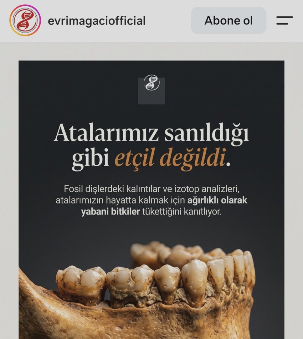 TestorizeNomad's tweet photo. Goyim ağacı https://t.co/uFm6rUeqgq