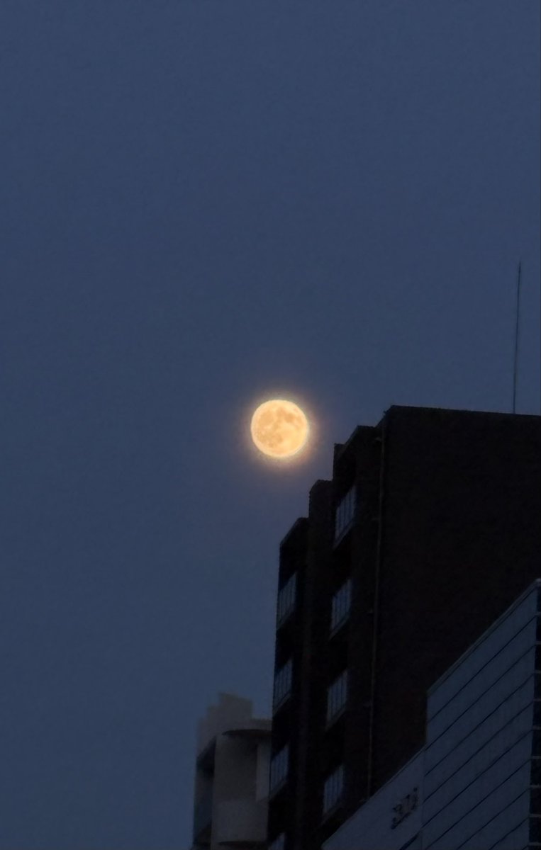 plusAatsuko's tweet photo. 雲間から十五夜🌝 https://t.co/aXaZFj7NhQ