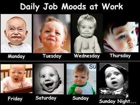 Melekatoshee's tweet photo. @LisaMarieWalch @filthyanimal127 @Sherrilinman @JulesOuzts @Suekusowski2831 @vintagereddeb @sunshinentan2 @BrazenMazz @CraigJacobsenOG @_kitty_hawk Goodmorning everyone and happy Friday 🥰

Thanks you Lisa for the invite 🤗

@Scottie8931 @walter_jan93509 @CatSaavy @Momto2_Cats @CatWhite_3 @CatizeNY @lewhiteva @dawoodguy https://t.co/pzu2iOidi7