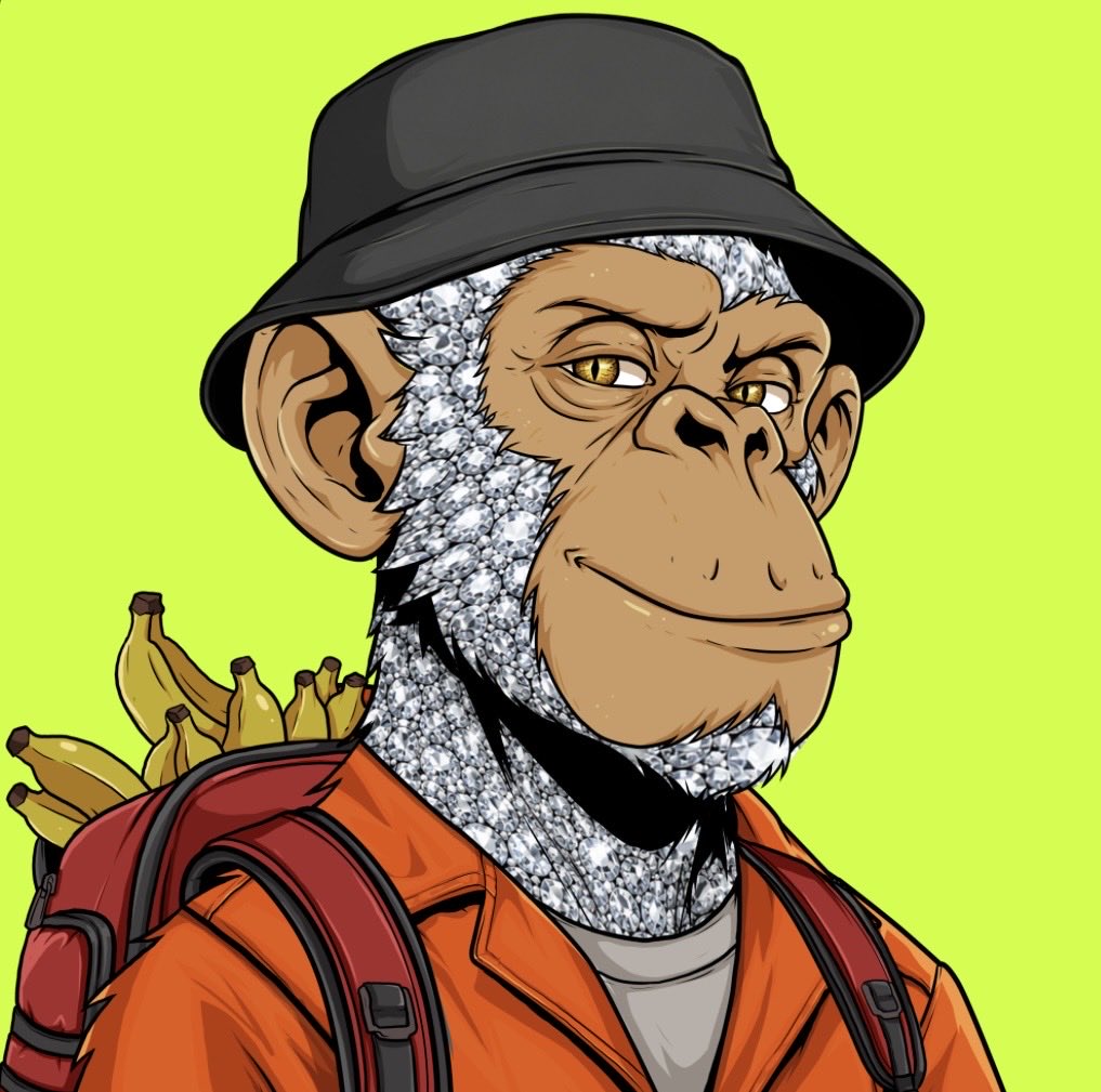 Robinhoodsnakes's tweet photo. GM!
dev didnt know what to post today so here is his @TheSuitedApes 
dont mess with snakes or else!! https://t.co/UCoZPFjALY