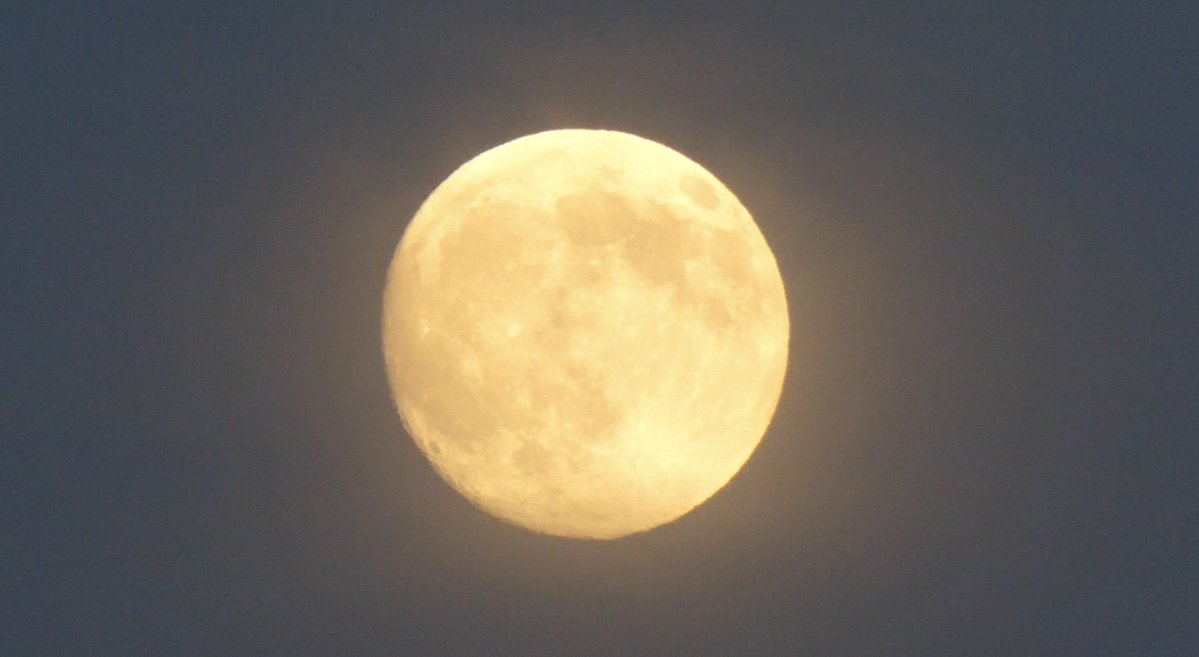 TSUBA_ch2020's tweet photo. 神宮の空に中秋の名月🌕
見事にヤクルトも白星でしたし、よかった。
1戦でも多く、皆さんと神宮で『すわほー』で喜びたいですね！！
GO GO SWALLOWS！！
#swallows 
#中秋の名月 https://t.co/b5buN4SHRE