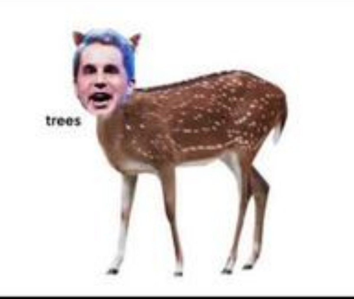 acervoDear's tweet photo. Deer Evan Hansen, essa piada nunca havia sido feita antes https://t.co/C1AhhoctOe