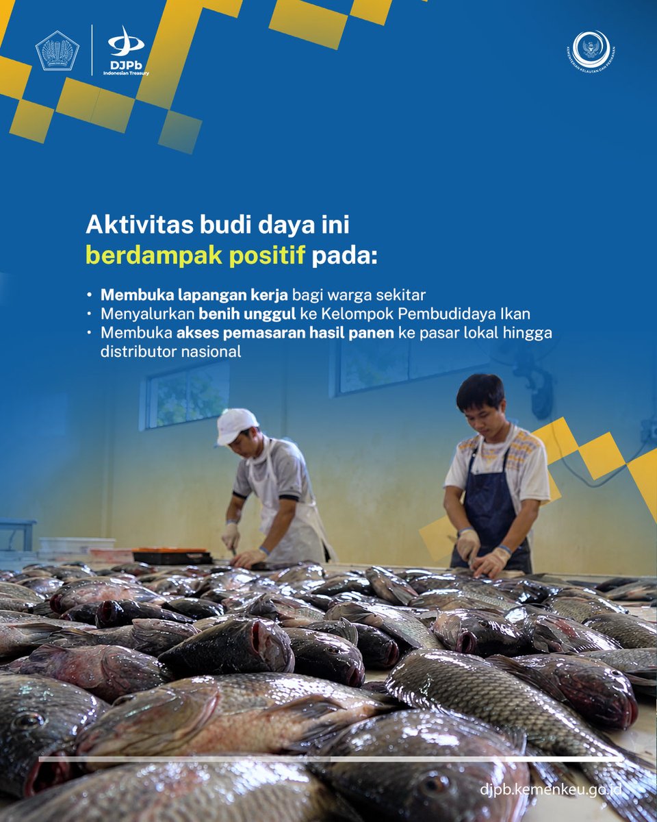 DJPb_Kemenkeu's tweet photo. Langkah ini hadir bukan cuma buat menggenjot produktivitas panen, melainkan juga membuka peluang kerja baru &amp; mempermudah akses benih unggul bagi pembudidaya lokal.

Aset negara bekerja, manfaatnya kembali ke masyarakat perikanan. Daerahmu punya potensi serupa? https://t.co/FM4J3vXk1i
